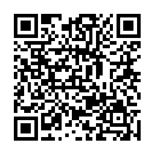 里卢麦克医生的一席话让老兵泰德放下了战争创伤二维码生成