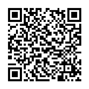 里头正有个年近七旬的老头儿颤颤微微地跪在地上二维码生成