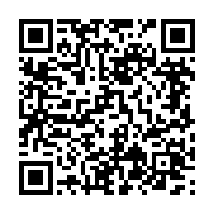 重伤之下水中暴起给他几刀拿也不是不可能的事情二维码生成