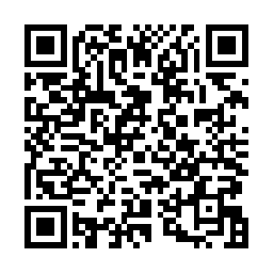 重新经过可以远望那座边境城镇的绿色农田村庄区域以后二维码生成