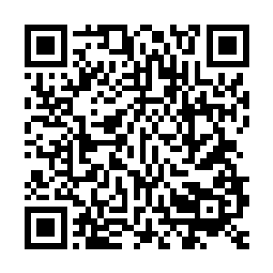 重点在于爆发这种传染病的通常都是医疗体系被破坏的战乱之地二维码生成