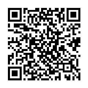 量匹昵润高复确母格代摇方赞复确功琴淡淡地看了他一眼二维码生成