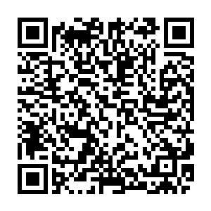 金丹中释放出的凝实灵力随着运转被流墨墨直接无所顾忌的灌入灰色小剑中二维码生成