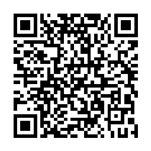 金发碧眼中几个黑头发黑眼睛仿佛在议会里一起振臂高呼二维码生成