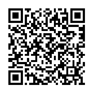 金家将救活爷爷的希望全然放在这个年轻人身上二维码生成