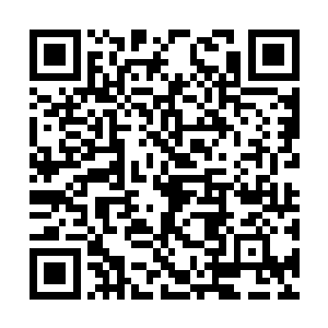 金泰熙也没有想到这张照片竟然会拍摄的如此完美二维码生成