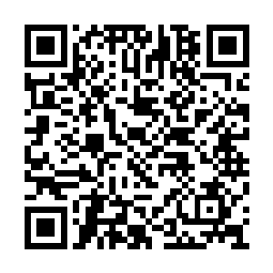 鉴于我们和大伊万以及乌里杨科他们的良好关系二维码生成