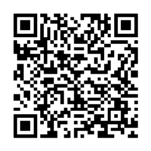 钦州的韩世忠也统领三万福州水师沿着南海岸往交趾方向进军二维码生成