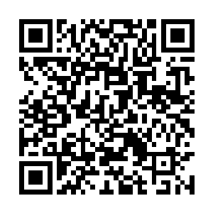 钦点西府的十五姑娘――严梓鹊为福宜公主的伴读二维码生成