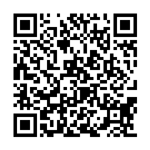 钱文同并不是那种能被普通人一脚踹趴的软脚虾二维码生成