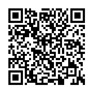 铁剑佣兵团和雄狮佣兵团以及红月商会都在争夺二维码生成