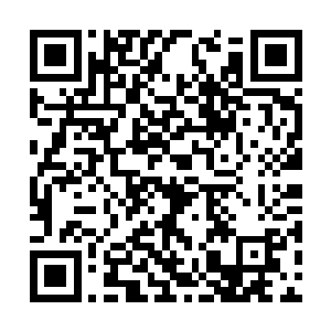 银发少女没有继续追究白雪公主名叫薛紫夜的事情二维码生成