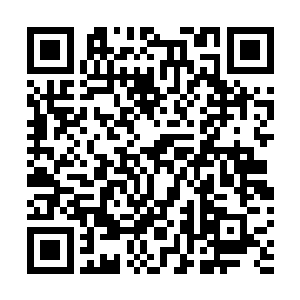 银脚小猫这等实力恐怖的至尊灵兽的数量应该也不会多的二维码生成