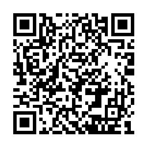 长着一个蛇头的血狱怪物出现在了龙傲天的面前二维码生成