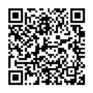 长街下突然有两匹马从刚刚送亲队伍去的那条长街上飞奔了回来二维码生成