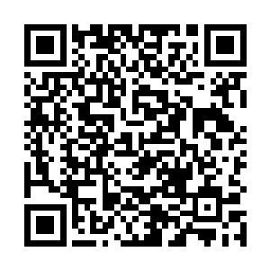 长距离恋爱似乎并没有打断伊丽莎白和威尔的感情发展二维码生成