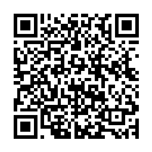 问出这个问题的代价是他也被唐劫一记十绝杀刃砍得护罩碎裂二维码生成