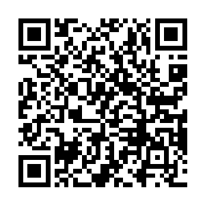 问道境界的黄品装备老朽按照平均每件1000逐道币的价格二维码生成