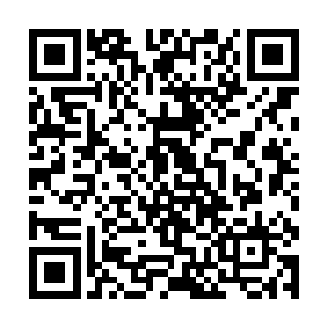 闻人牧月受到合作伙伴的邀请来参加今天晚上的宴会二维码生成