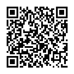 闻春意打量着姜氏和陈氏脸上同样的震惊的神情二维码生成