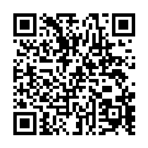 队伍中有一部分学生包括蛋圆圆已经学会了这一技巧二维码生成