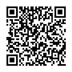 阳光透过头顶的枝叶将点点斑驳洒落在他的肩上二维码生成