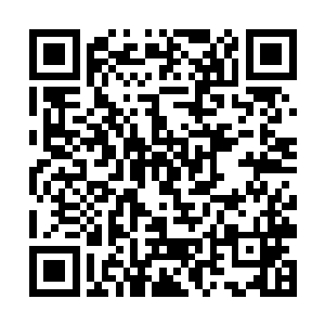阴王的报复会不会来得很快……你是又想享受雷击了二维码生成