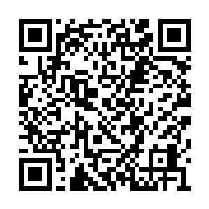 阵容肃然哪里有半点一个时辰前落荒而逃的模样二维码生成