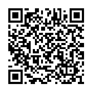 阿夏只能放任尸兄们发疯一样向白小飞发起攻击二维码生成