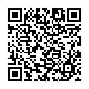 阿宝和宇文涛两人些超级荒兽的注意力都在威啸身上二维码生成