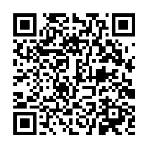 阿父拒绝了那些人的劝告毅然决然的决定一直抚养她二维码生成