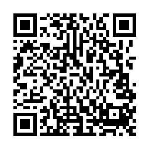 附近四个特战小组当中武艺与杀伤力最高的人物也在同时发动二维码生成