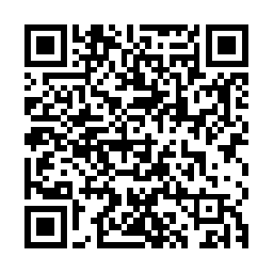 陆为民仔细了解并分析过目前县委里边的常委们白勺构成和情况二维码生成