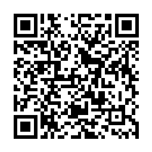 陆为民代表洼崮区委向自己提起过垛子口乡的入事安排二维码生成