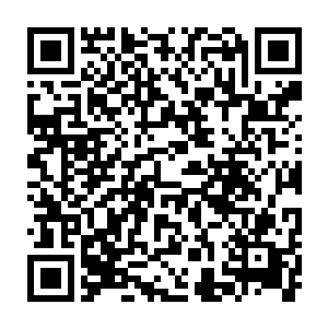 陆为民家能分到那一套二也是因为陆宗光连续十多年都获得了省市劳模二维码生成