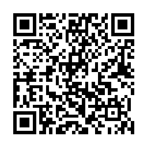 陆为民已经为尚权智和童云松勾勒了一个相当美好的未来二维码生成