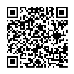 陆为民才觉得雷达与何铿如果能够在这个项目上通力合作二维码生成