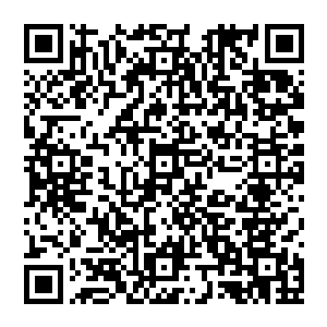 陆为民把麓山集团近五年来的发展情况已经麓山集团目前在国内纺织行业中所确立的经营优势作了一个简介二维码生成