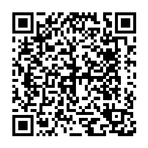 陆为民驾驶的皇冠进入丰州城区没几分钟就已经扑上了厚厚的一层灰二维码生成