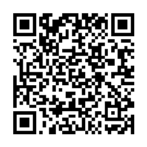 陆必成从自己大哥的嘴里听见说蒋芳倩外貌不怎么样二维码生成