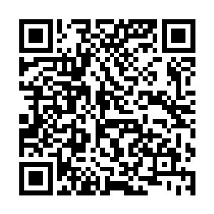 陆母也早早就挂过来电话嘱咐陆卿要尽量空出来时间二维码生成