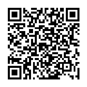 陆非凡因为她的驻足而回眸看到了这么感人的一幕二维码生成