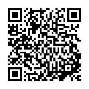 陈卓在叶枫刚回来的时候就已经感受到叶枫带来的虚空小世界了二维码生成