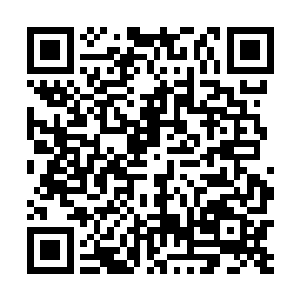 陈小练接下来的确做了一件或许会被人认为很蠢的事情二维码生成