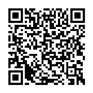 陈浩然的目光落在了海岛市市长徐化山的脸上道二维码生成