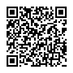 陈红娇嗔混沌重生君临异界23488起来就是个小女生二维码生成