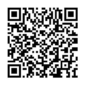 陈观和郑林跟着雷宗文常务副厅长去了他办公室二维码生成