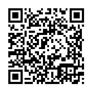 陈观耐心地把独立董事的职责权力义务介绍了一遍二维码生成