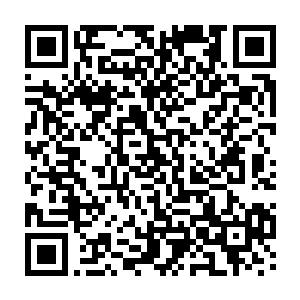 陈诚在上半野区又一次抓到那个才仅仅只出到了蛋刀+720魔抗斗篷的野生蝎子二维码生成