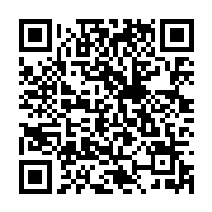 陈长生其实看到了龙眸闭上之前的那抹黯然与委屈二维码生成